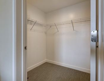 Oversized Walk-In Closets